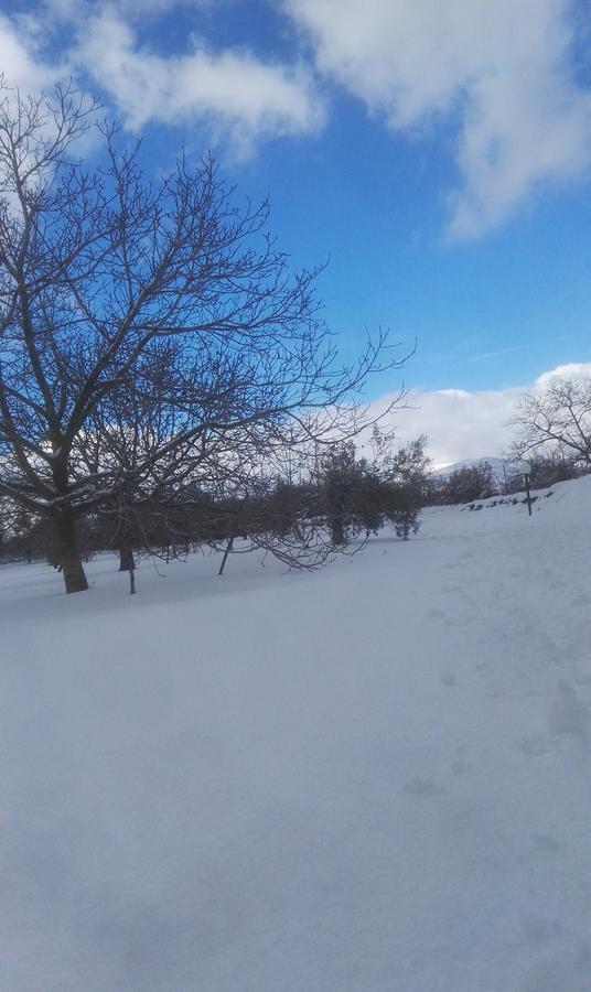 Mount Etna Chalet Maletto ภายนอก รูปภาพ