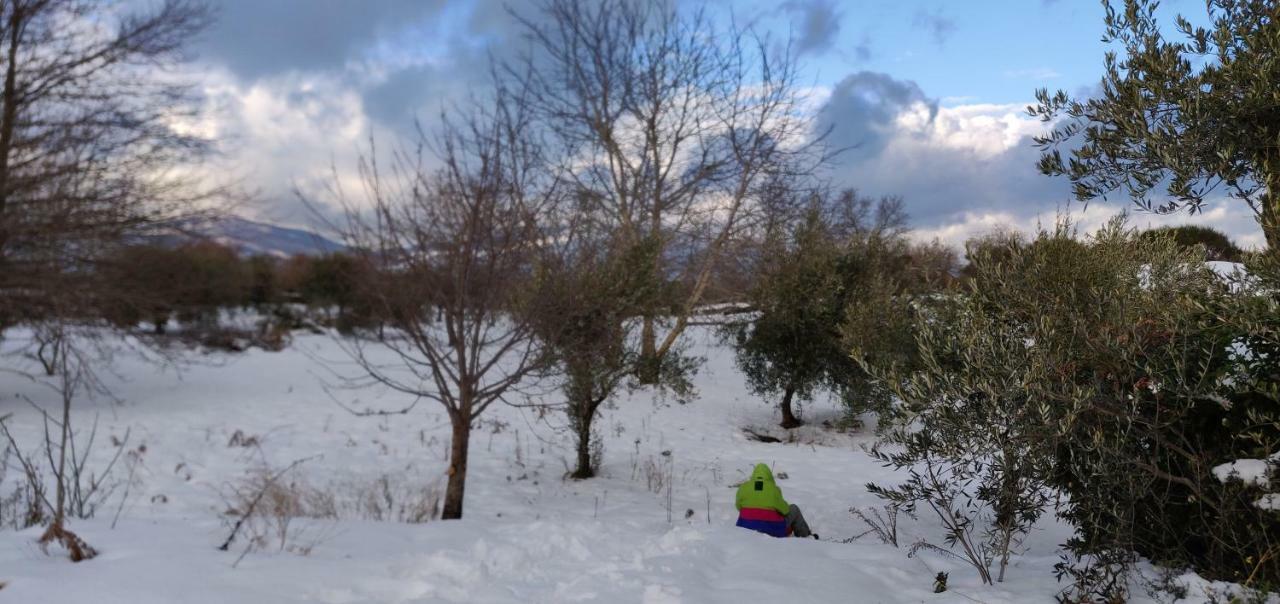 Mount Etna Chalet Maletto ภายนอก รูปภาพ